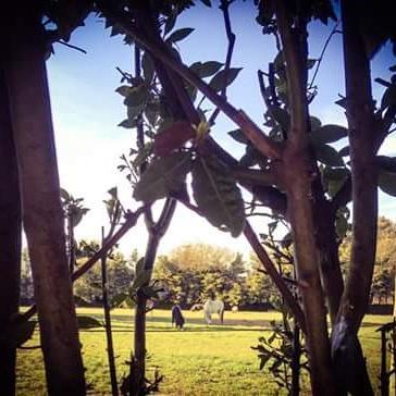 Agriturismo Beethoven نوتشي المظهر الخارجي الصورة
